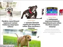 Sites similar to uk.acelenakliye.com