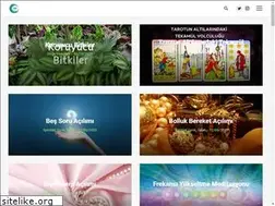 Sites similar to ulkamelek.com
