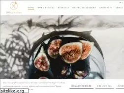 Sites similar to ulli-ayurveda.com
