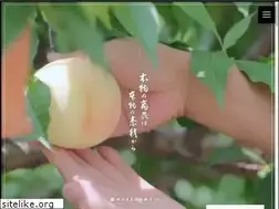 Sites similar to umaina.co.jp