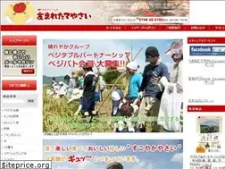 Sites similar to umaretateyasai.com