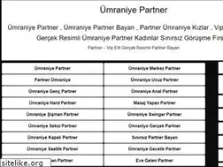 Sites similar to umraniyelimit.com