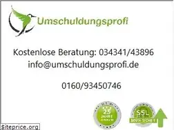 Sites similar to umschuldungsprofi.de