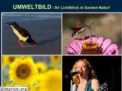 Sites similar to umweltbild.de