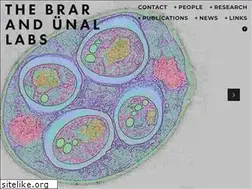 Sites similar to unal-and-brar-labs.org