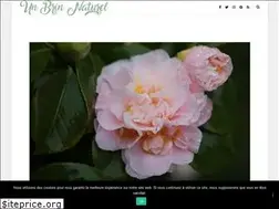 Sites similar to unbrinnaturel.fr