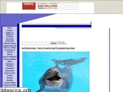 Sites similar to understanddolphins.tripod.com