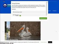 Sites similar to undiscoveredmontenegro.com