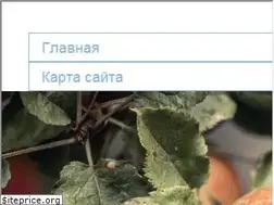 Sites similar to uni-light.ru