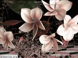 Sites similar to unicorn-paris.com