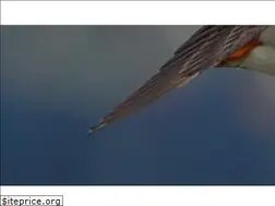 Sites similar to uniquephotoarts.com