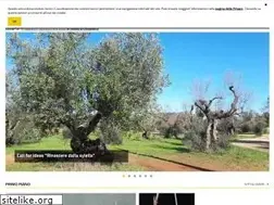 Sites similar to unisalento.it