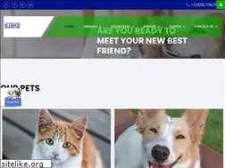 Sites similar to unitedanimalfriends.org