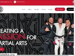 Sites similar to unitedbjjhawaii.com