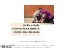 Sites similar to unperroenlaciudad.es
