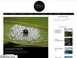 Sites similar to unrealhawaii.com
