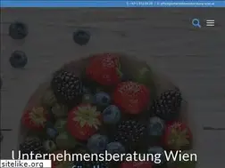 Sites similar to unternehmensberatung-wien.at