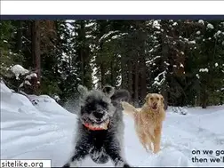 Sites similar to uponward.com