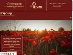 Sites similar to ur-sprung.info