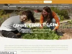 Sites similar to urbanadamah.org