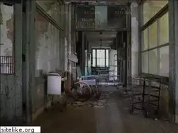 Sites similar to urbandecay.org.uk