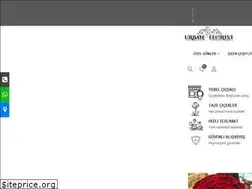 Sites similar to urbanfloristantalya.com