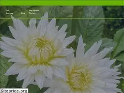 Sites similar to urbangamestar.com