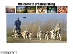 Sites similar to urbanmushing.com