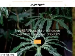 Sites similar to urbntropic.com
