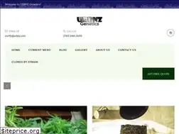Sites similar to urbnz.com