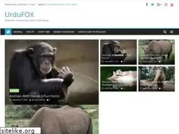 Sites similar to urdufox.com