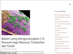 Sites similar to usaha321.net