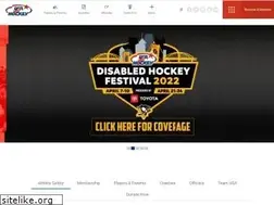 Sites similar to usahockey.com