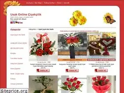Sites similar to usakcicek.com