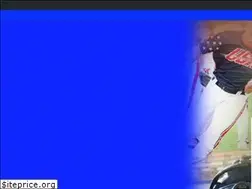 Sites similar to usasoftballsc.com