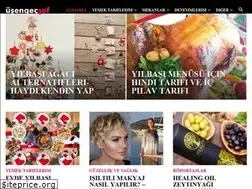 Sites similar to usengecsef.com