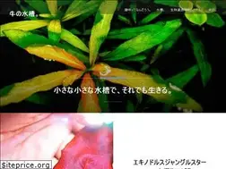 Sites similar to ushi.me