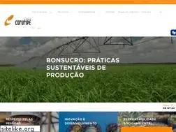 Sites similar to usinacoruripe.com.br