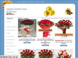 Sites similar to uskudarcicek.com