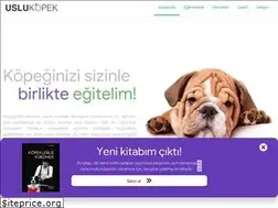 Sites similar to uslukopek.com