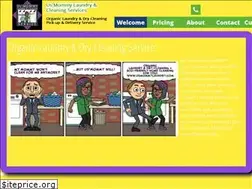 Sites similar to usmommylaundry.com