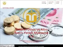 Sites similar to ustuneldoviz.com.tr