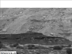 Sites similar to utahpaleo.org