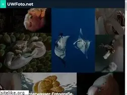Sites similar to uwfoto.net