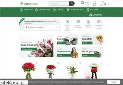Sites similar to uyguncicek.com