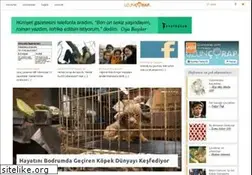 Sites similar to uzuncorap.com