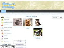 Sites similar to v-mire-sobak.ru