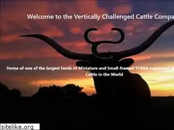 Sites similar to v3c-longhorns.com