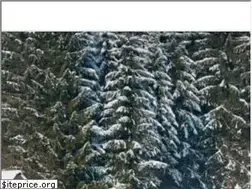 Sites similar to vacationhomerentals.com