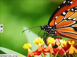 Sites similar to vaescil.org